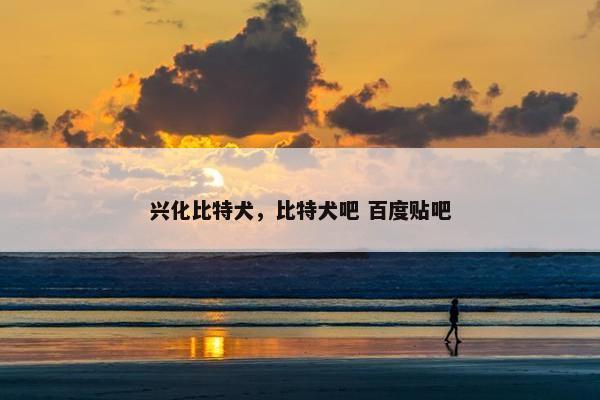 兴化比特犬，比特犬吧 百度贴吧