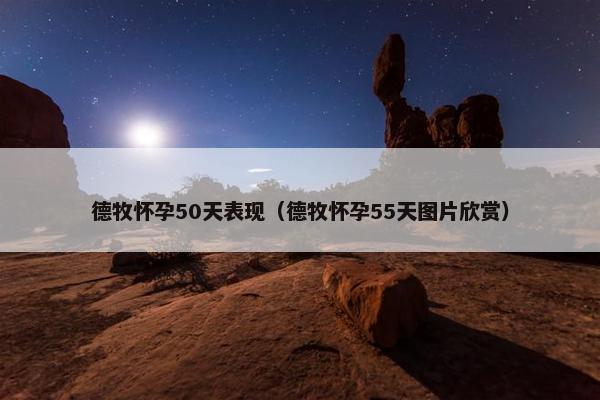 德牧怀孕50天表现（德牧怀孕55天图片欣赏）