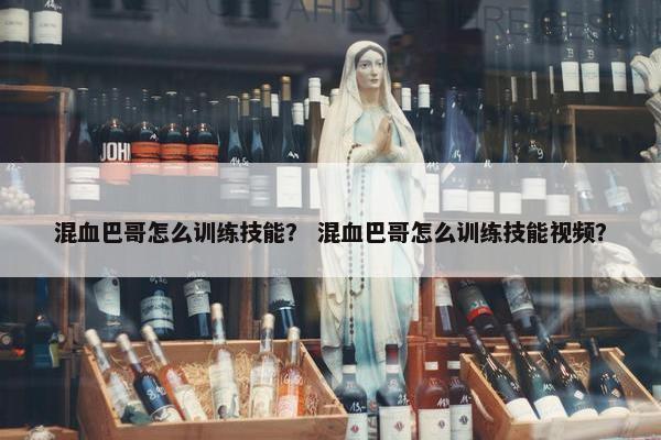 混血巴哥怎么训练技能？ 混血巴哥怎么训练技能视频？