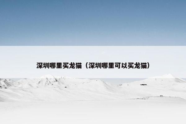 深圳哪里买龙猫（深圳哪里可以买龙猫）