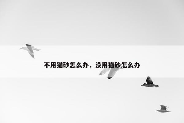 不用猫砂怎么办，没用猫砂怎么办