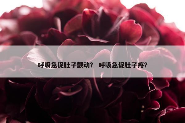 呼吸急促肚子颤动？ 呼吸急促肚子疼？