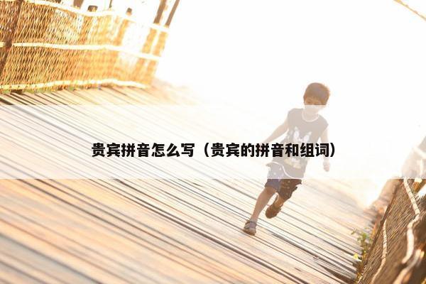 贵宾拼音怎么写（贵宾的拼音和组词）