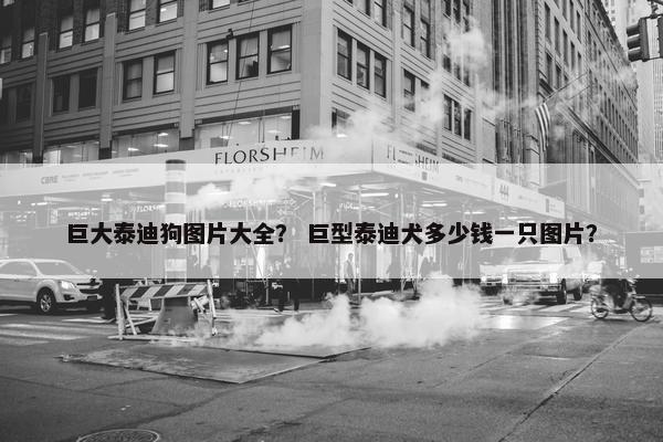 巨大泰迪狗图片大全？ 巨型泰迪犬多少钱一只图片？