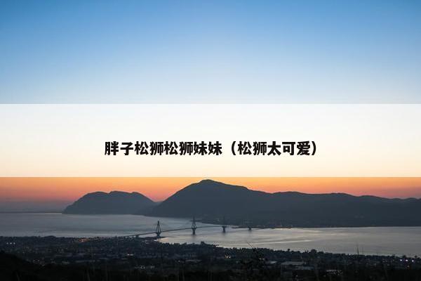 胖子松狮松狮妹妹（松狮太可爱）