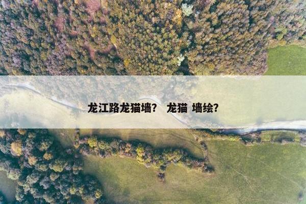 龙江路龙猫墙？ 龙猫 墙绘？