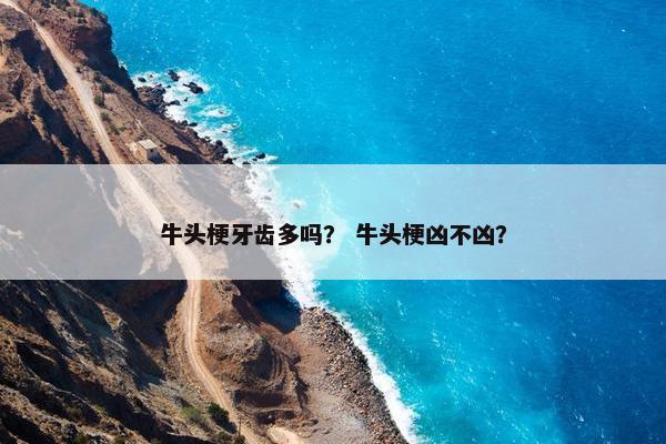 牛头梗牙齿多吗？ 牛头梗凶不凶？
