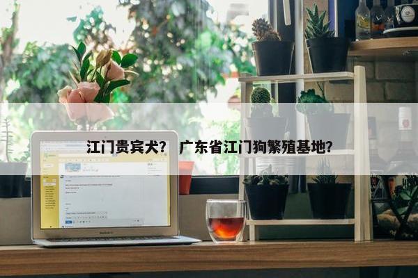 江门贵宾犬？ 广东省江门狗繁殖基地？