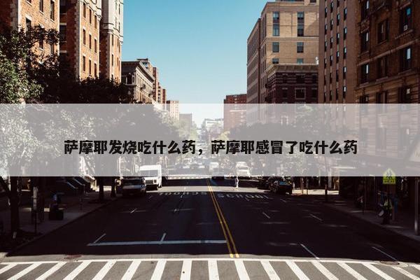 萨摩耶发烧吃什么药，萨摩耶感冒了吃什么药