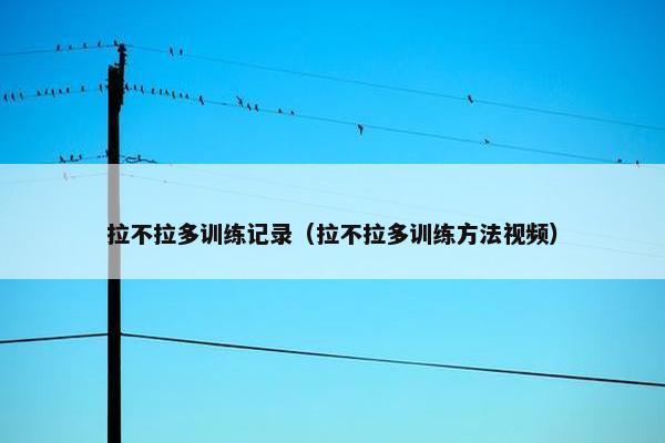 拉不拉多训练记录（拉不拉多训练方法视频）