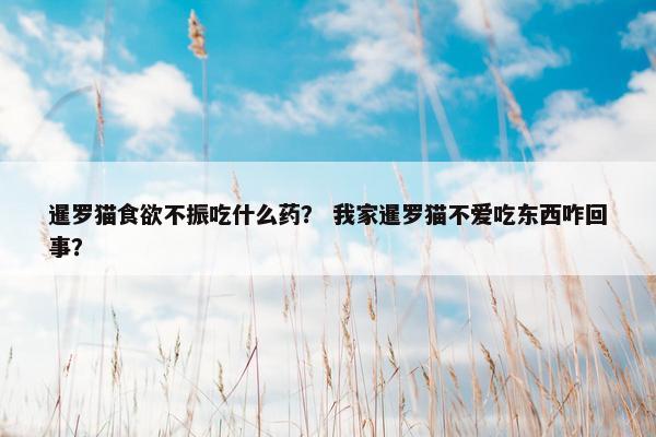 暹罗猫食欲不振吃什么药？ 我家暹罗猫不爱吃东西咋回事？