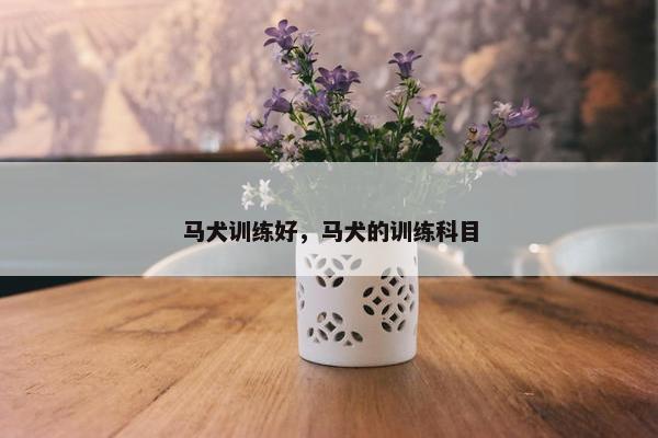 马犬训练好，马犬的训练科目