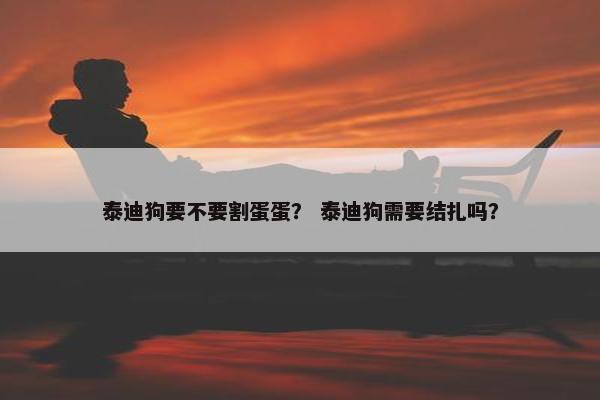 泰迪狗要不要割蛋蛋？ 泰迪狗需要结扎吗？