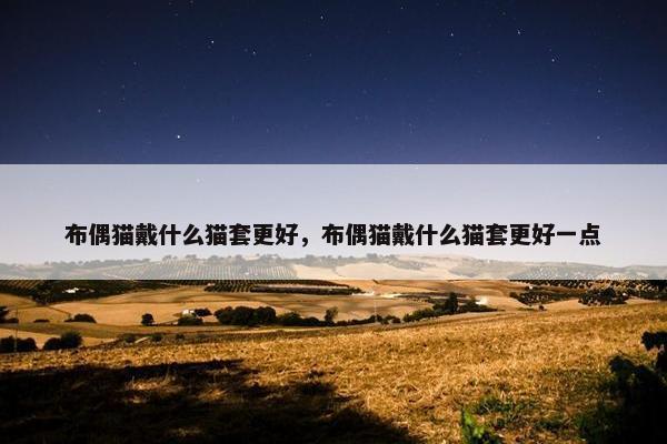 布偶猫戴什么猫套更好，布偶猫戴什么猫套更好一点