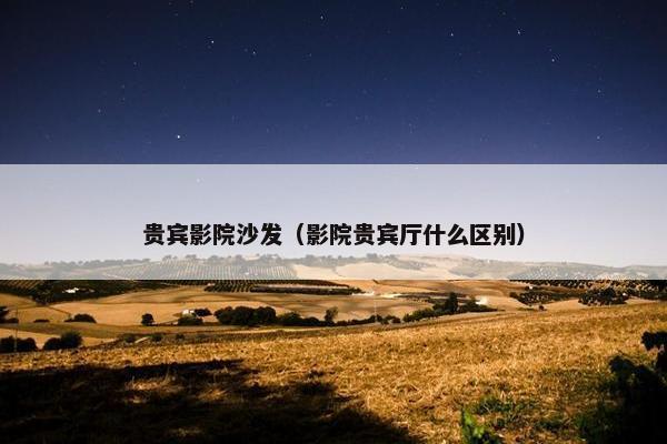 贵宾影院沙发（影院贵宾厅什么区别）