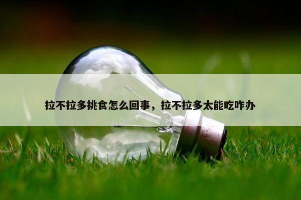 拉不拉多挑食怎么回事，拉不拉多太能吃咋办