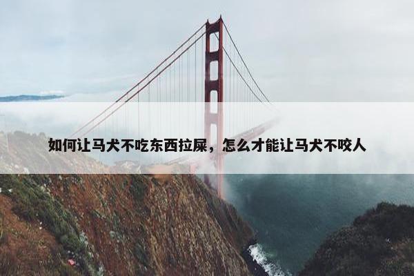 如何让马犬不吃东西拉屎，怎么才能让马犬不咬人