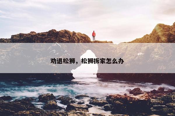 劝退松狮，松狮拆家怎么办