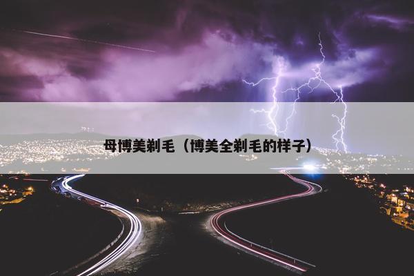 母博美剃毛（博美全剃毛的样子）