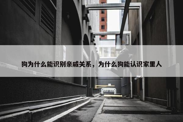狗为什么能识别亲戚关系，为什么狗能认识家里人