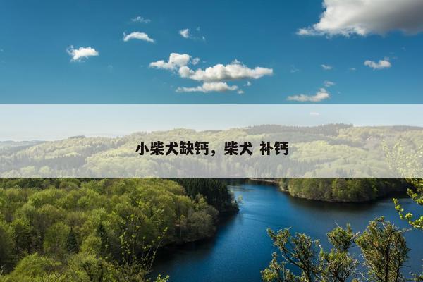 小柴犬缺钙，柴犬 补钙