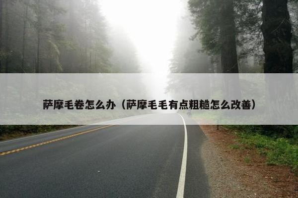 萨摩毛卷怎么办（萨摩毛毛有点粗糙怎么改善）