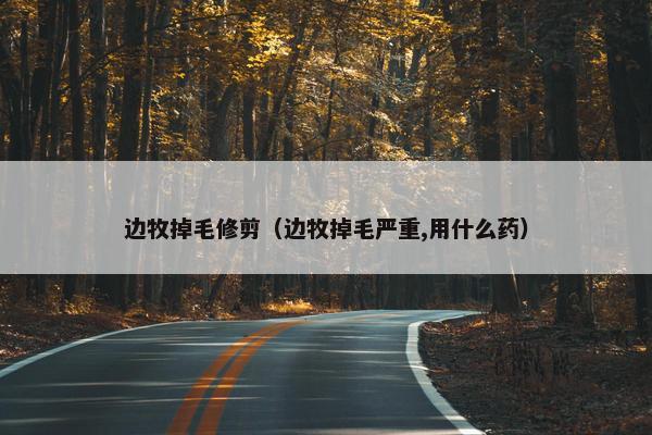 边牧掉毛修剪（边牧掉毛严重,用什么药）