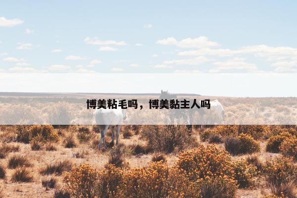 博美粘毛吗，博美黏主人吗