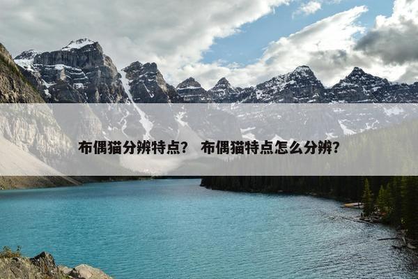 布偶猫分辨特点？ 布偶猫特点怎么分辨？