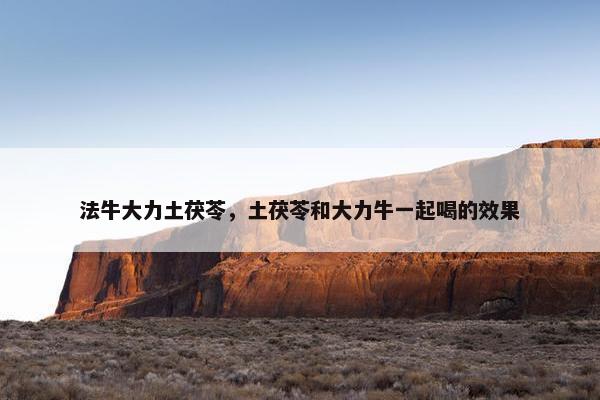 法牛大力土茯苓，土茯苓和大力牛一起喝的效果