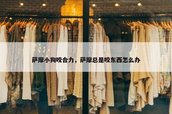 萨摩小狗咬合力，萨摩总是咬东西怎么办