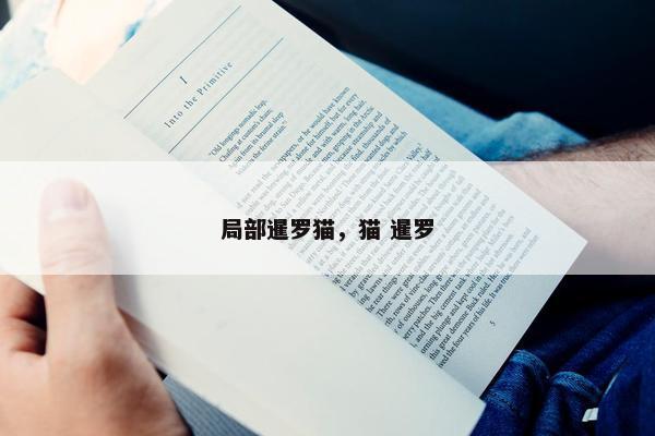 局部暹罗猫，猫 暹罗