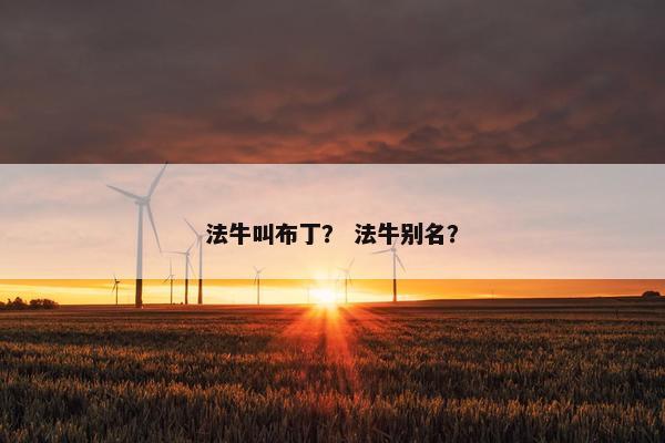 法牛叫布丁？ 法牛别名？