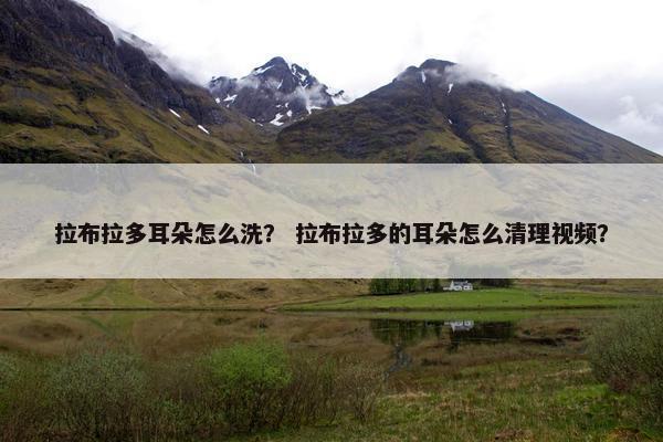 拉布拉多耳朵怎么洗？ 拉布拉多的耳朵怎么清理视频？