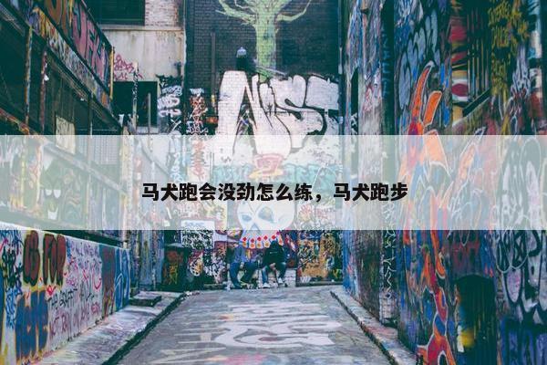 马犬跑会没劲怎么练，马犬跑步