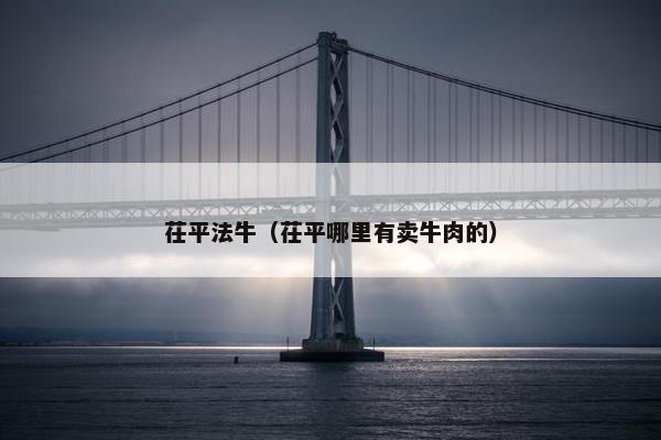 茌平法牛（茌平哪里有卖牛肉的）