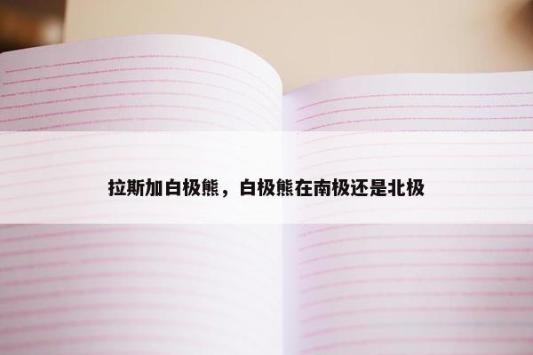 拉斯加白极熊，白极熊在南极还是北极