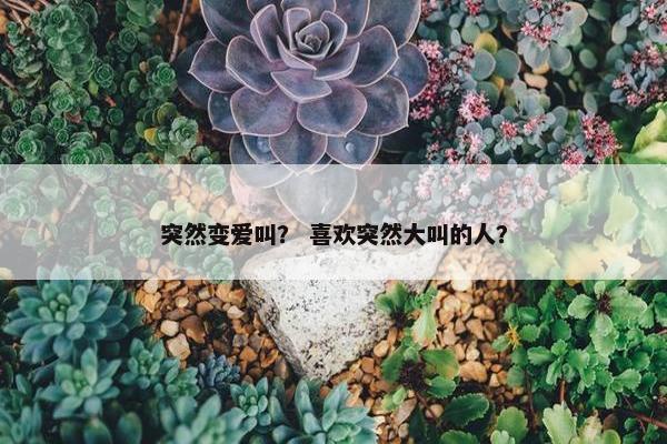 突然变爱叫？ 喜欢突然大叫的人？