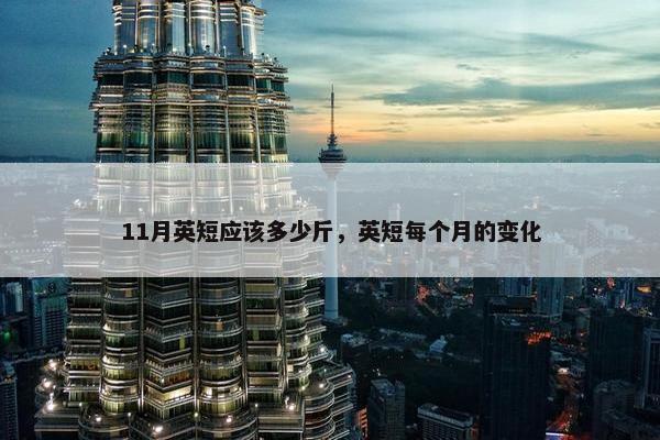 11月英短应该多少斤，英短每个月的变化