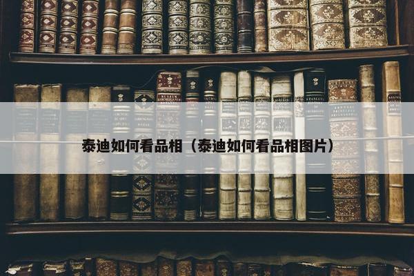 泰迪如何看品相（泰迪如何看品相图片）