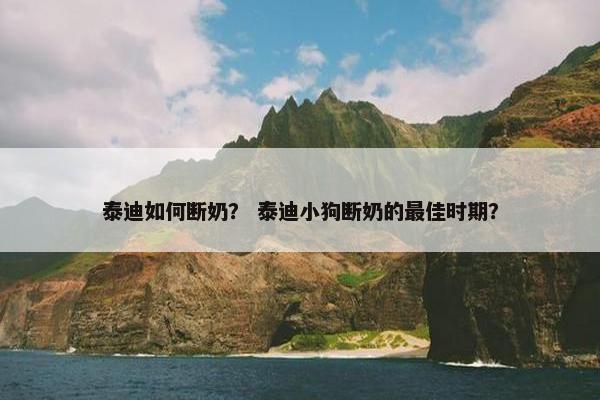 泰迪如何断奶？ 泰迪小狗断奶的最佳时期？