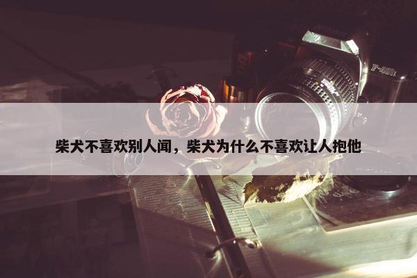 柴犬不喜欢别人闻，柴犬为什么不喜欢让人抱他