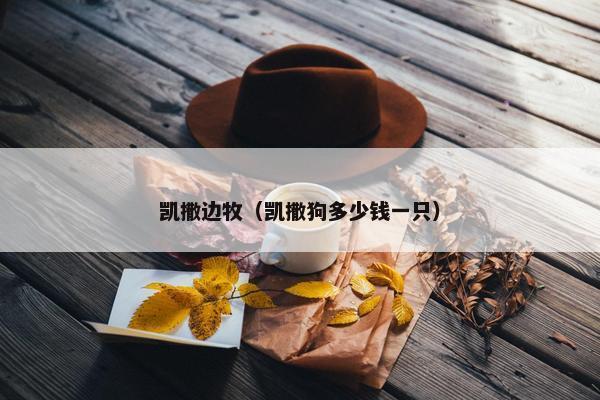 凯撒边牧（凯撒狗多少钱一只）