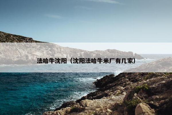 法哈牛沈阳（沈阳法哈牛米厂有几家）