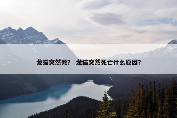 龙猫突然死？ 龙猫突然死亡什么原因？
