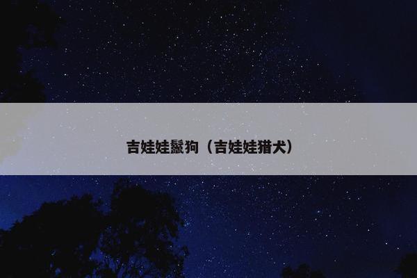 吉娃娃鬣狗（吉娃娃猎犬）