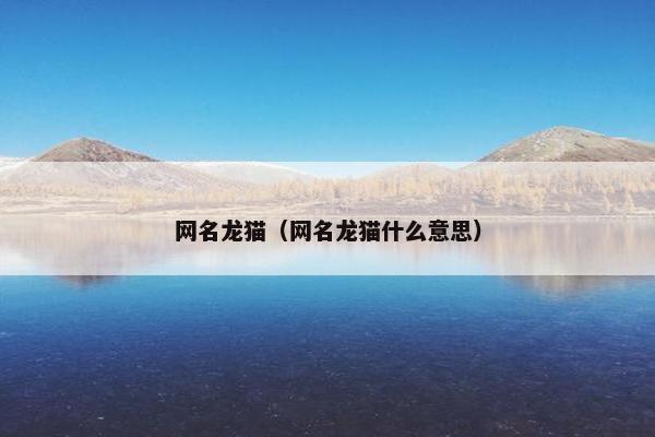 网名龙猫（网名龙猫什么意思）