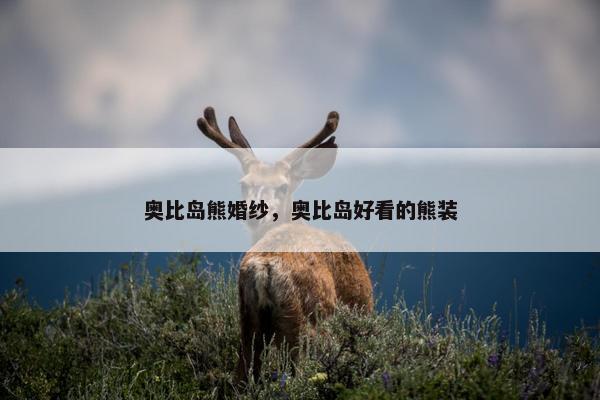 奥比岛熊婚纱，奥比岛好看的熊装