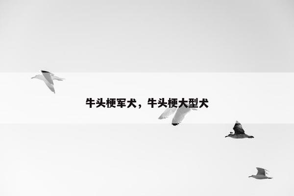 牛头梗军犬，牛头梗大型犬
