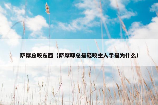 萨摩总咬东西（萨摩耶总是轻咬主人手是为什么）